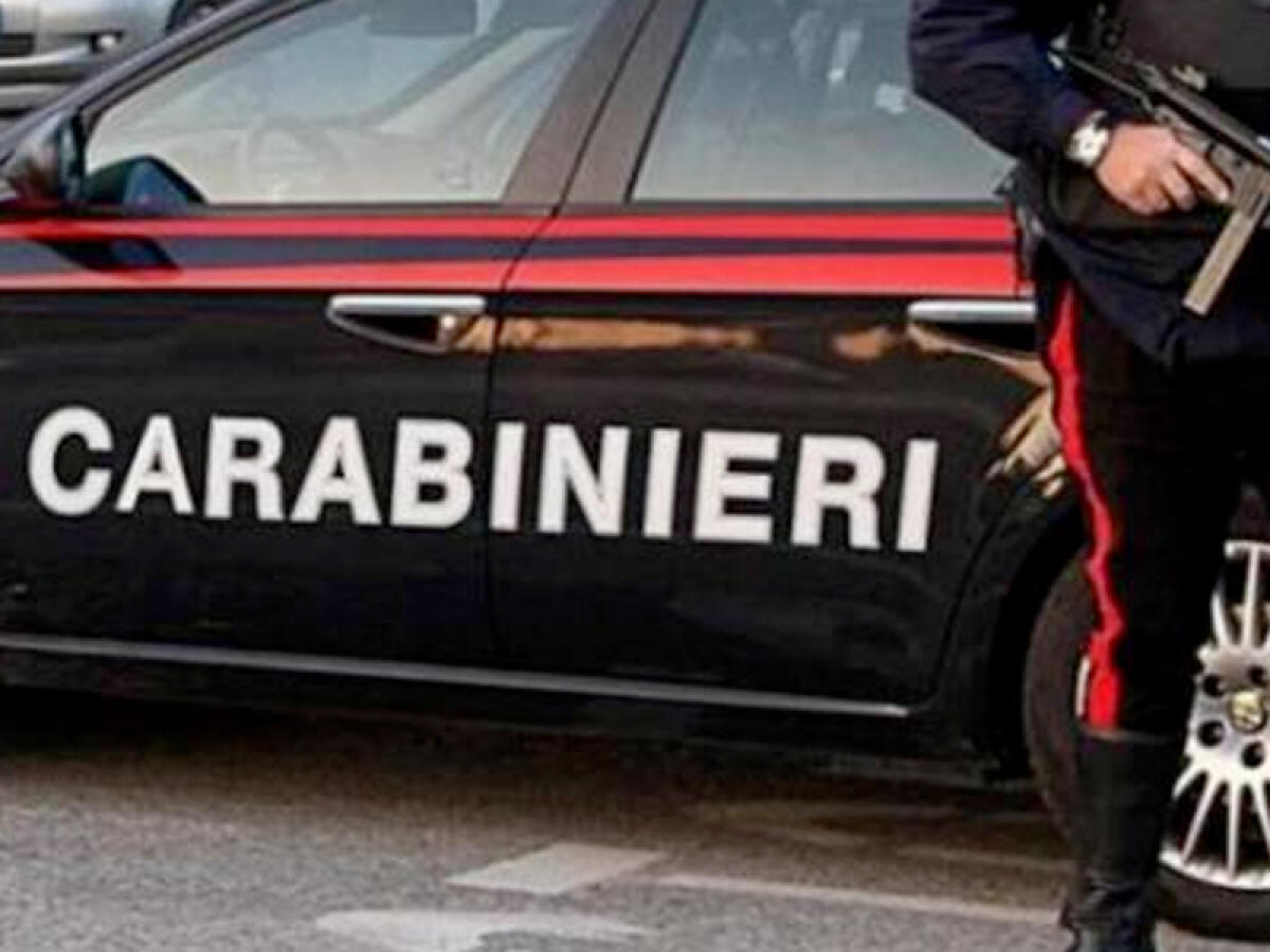 Cc: in calo furti e rapine, aumentano gli incendi dolosi - 