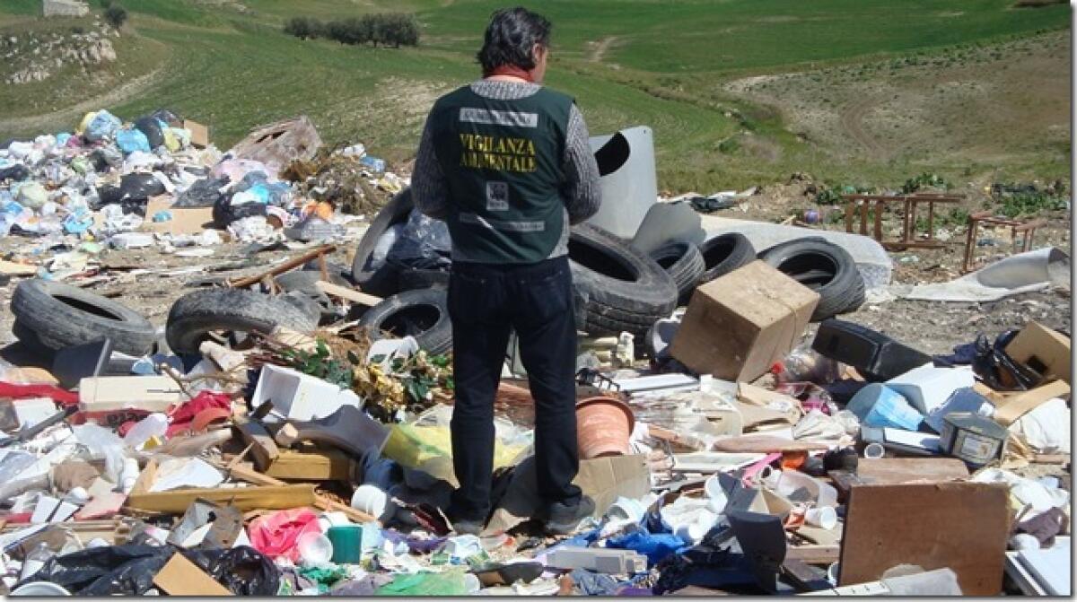 L'allarme del WWF: "tanti crimini contro l'ambiente rischiano l'impunità " -