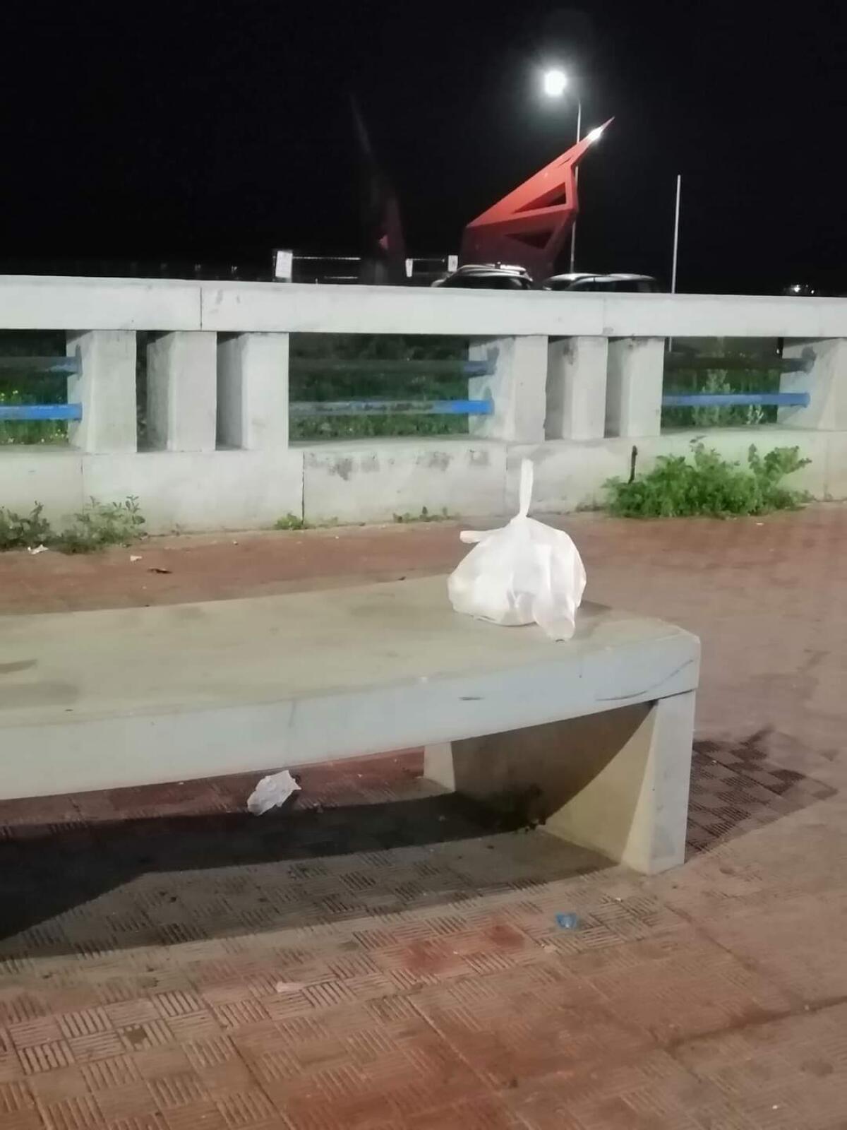 I barbari scorazzano al Lungomare  ai tempi della zona arancione - 