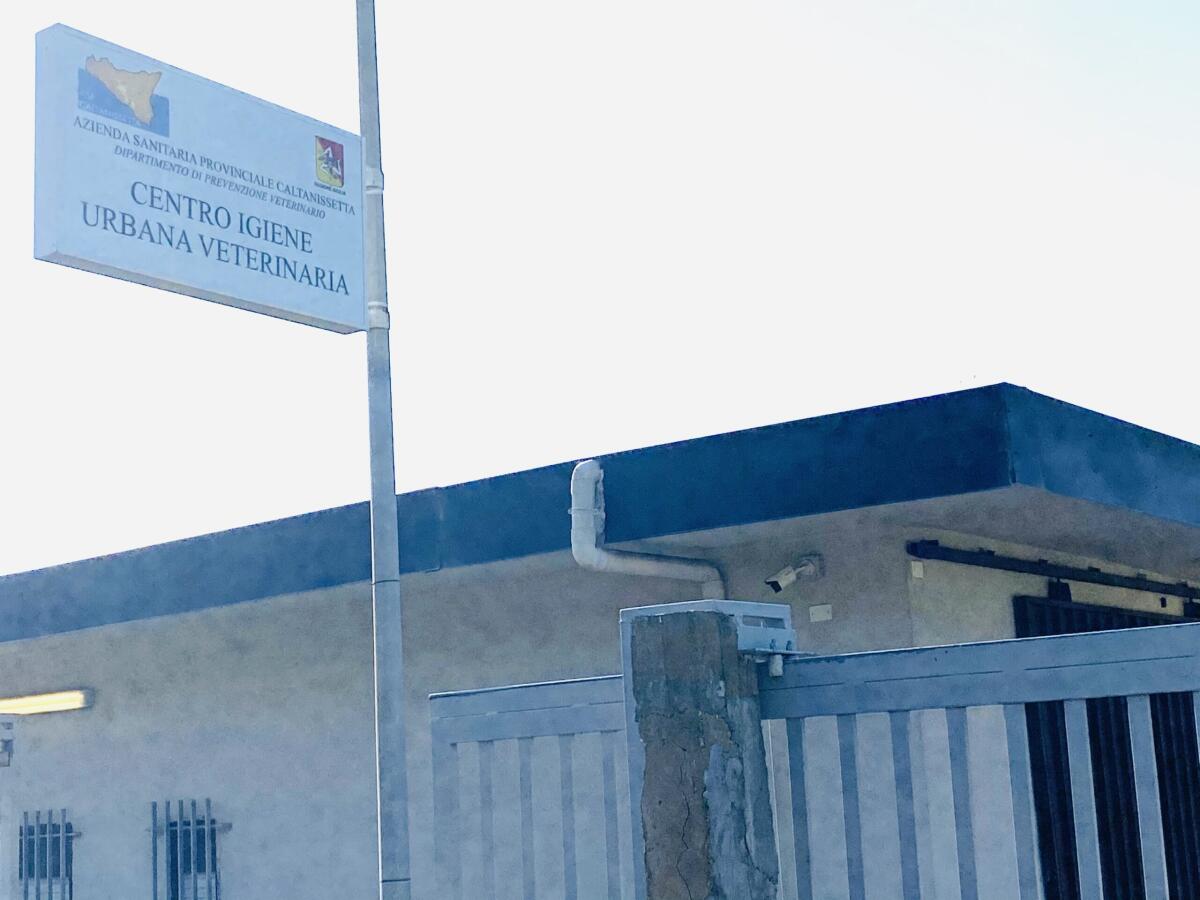 Gela, campagna vaccinazione docenti avviata all’ex mattatoio - 