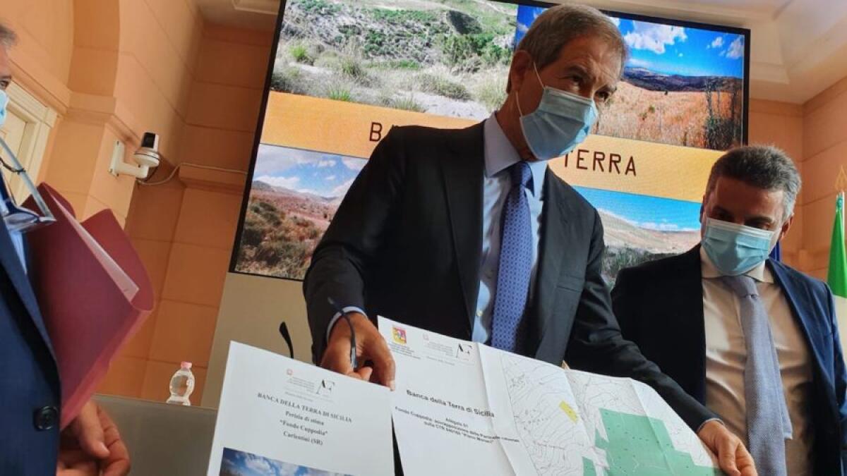 “La terra ai giovani”, assegnati i primi 430 ettari: dodici i progetti per uso agricolo e zootecnico - 