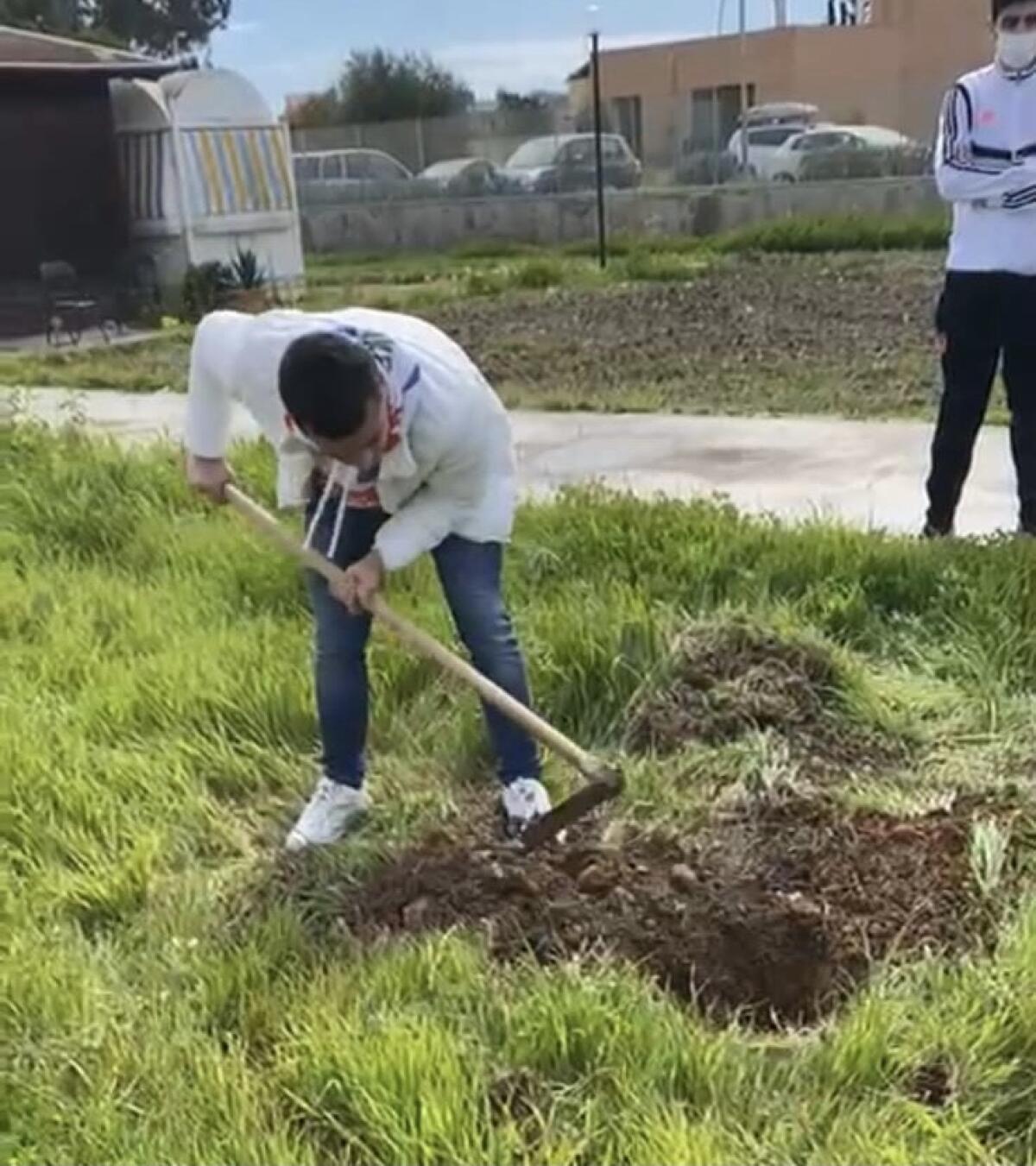 Giornata mondiale per il clima, alberelli piantati nelle scuole della città -