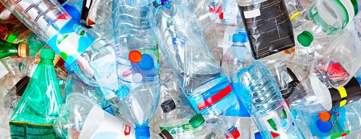 Italia viva si complimenta con i giovani di Plastic free - 
