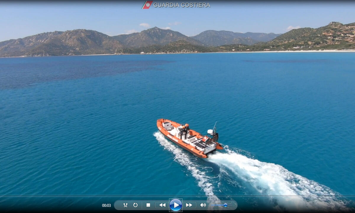 Giornata del mare, gli avvistamenti segnalati con l'App. Video - 