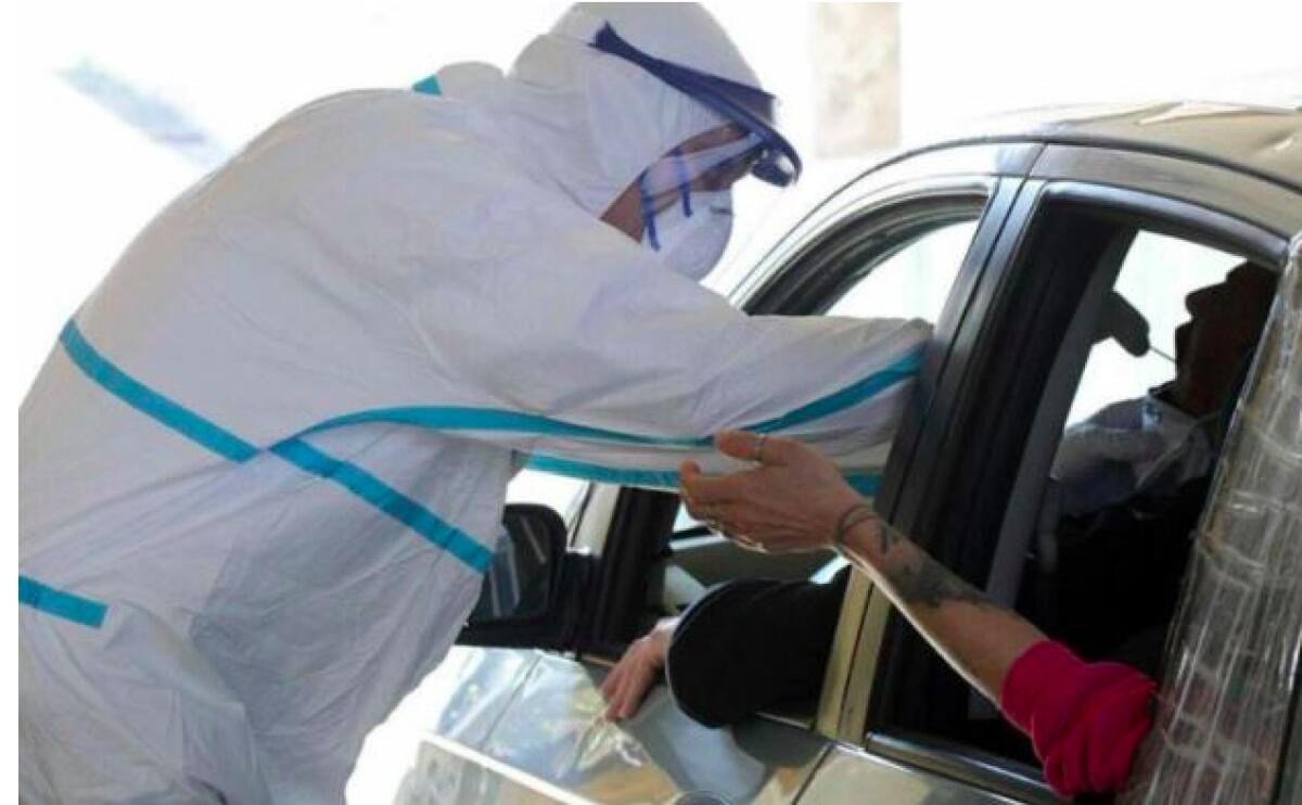 Screening gratuito domenica - 