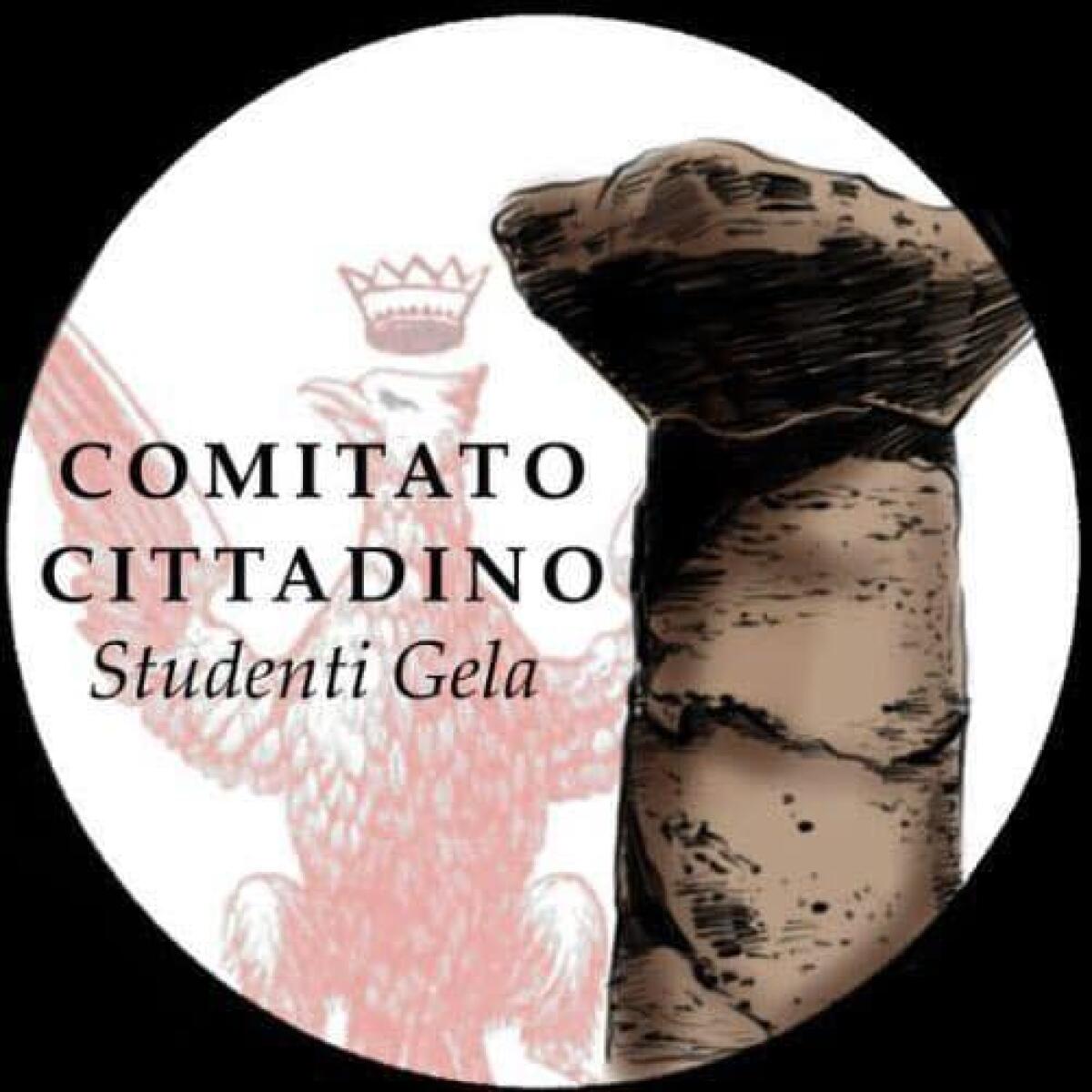 Il Comitato studentesco scrive al Governatore ed al Prefetto - interviste video - 