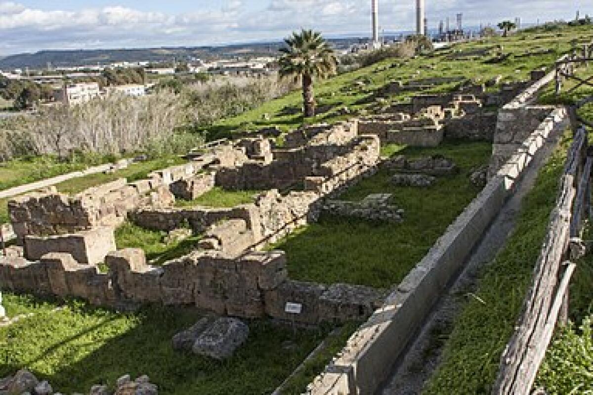 Volontari e ditte mettono in sicurezza l'area archeologica dell'Acropoli - 