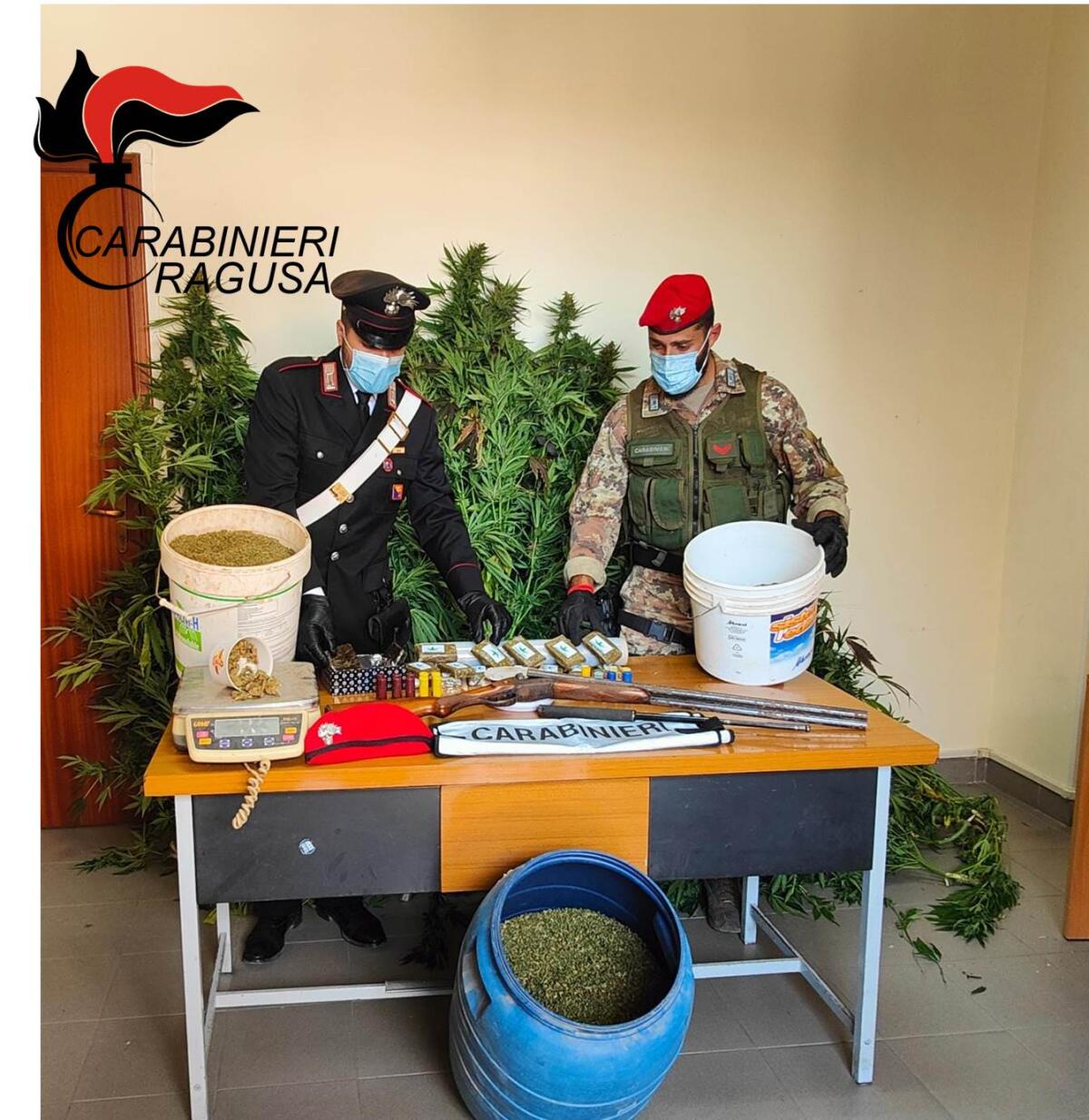 Droga tra le serre, maxi sequestro e due arresti - 