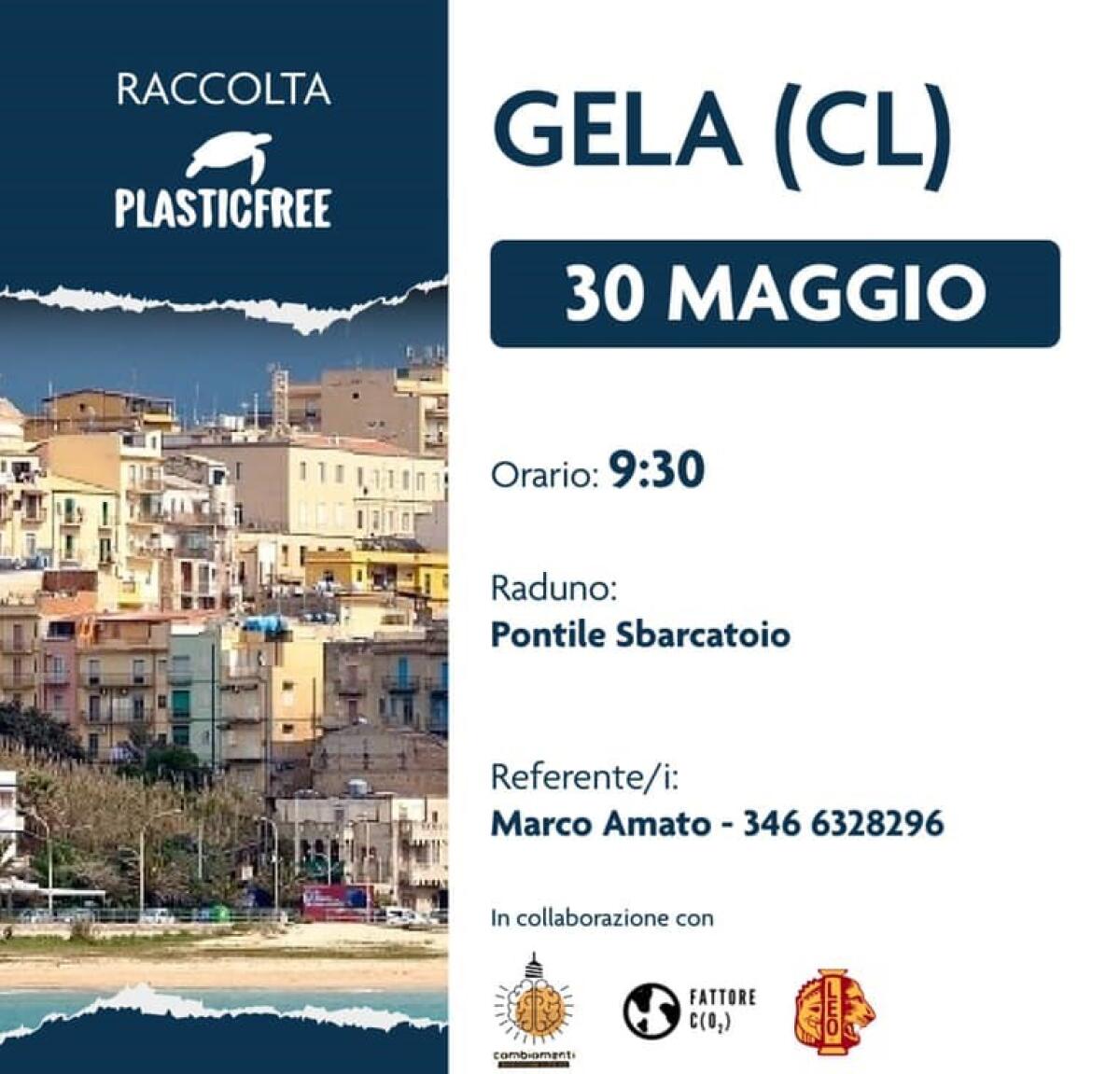 Pulizia della spiaggia, PlasticFree lancia un nuovo evento in città -