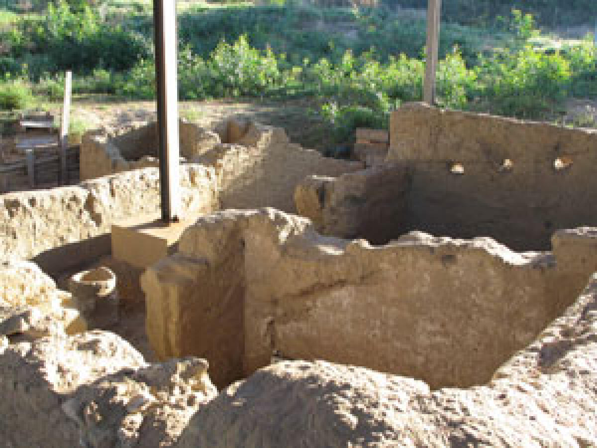 Con 800 mila euro da Eni riqualificazione e scavi a Bosco Littorio - 