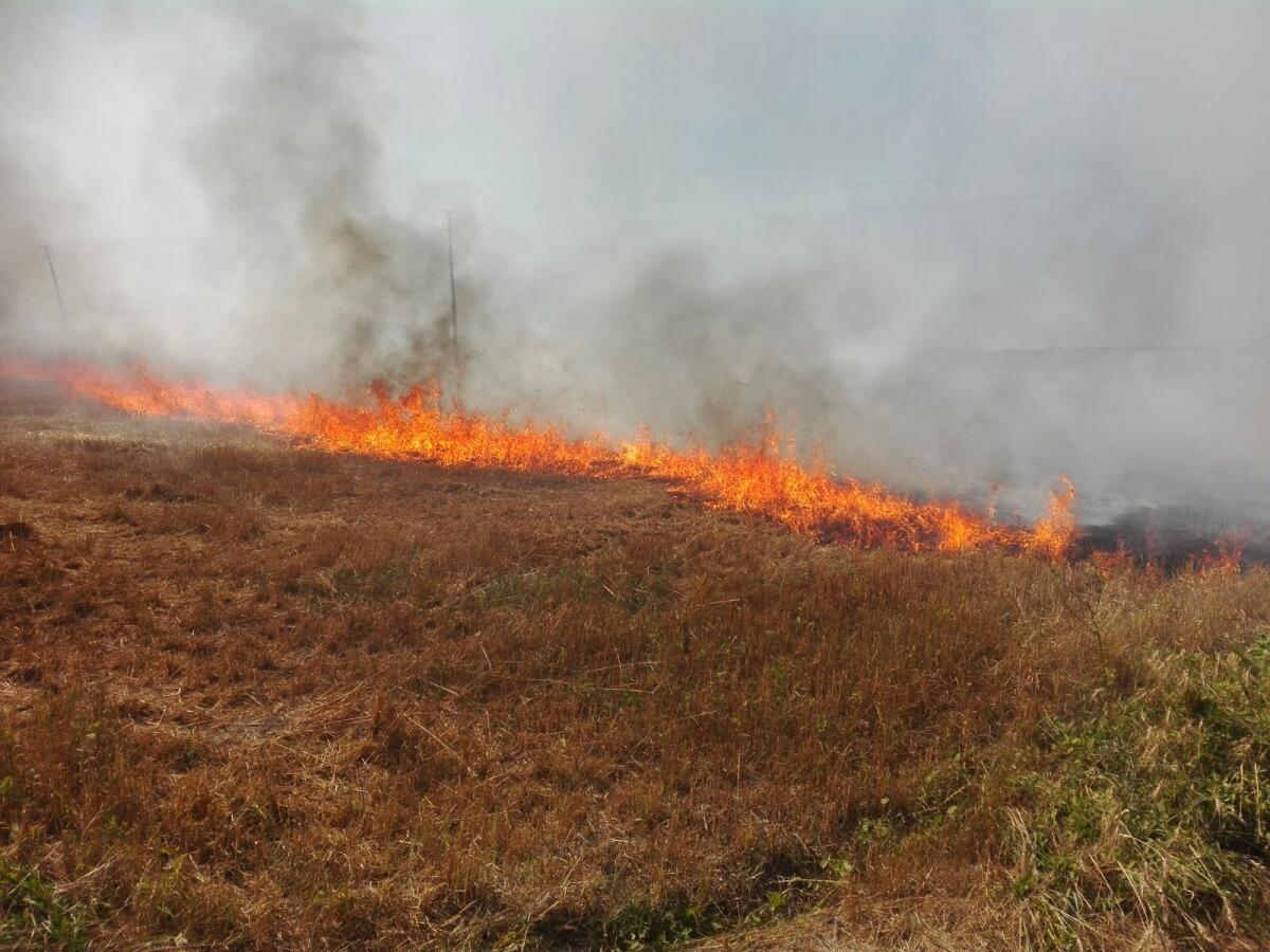 E arriva l'ordinanza del sindaco per arginare gli incendi - 