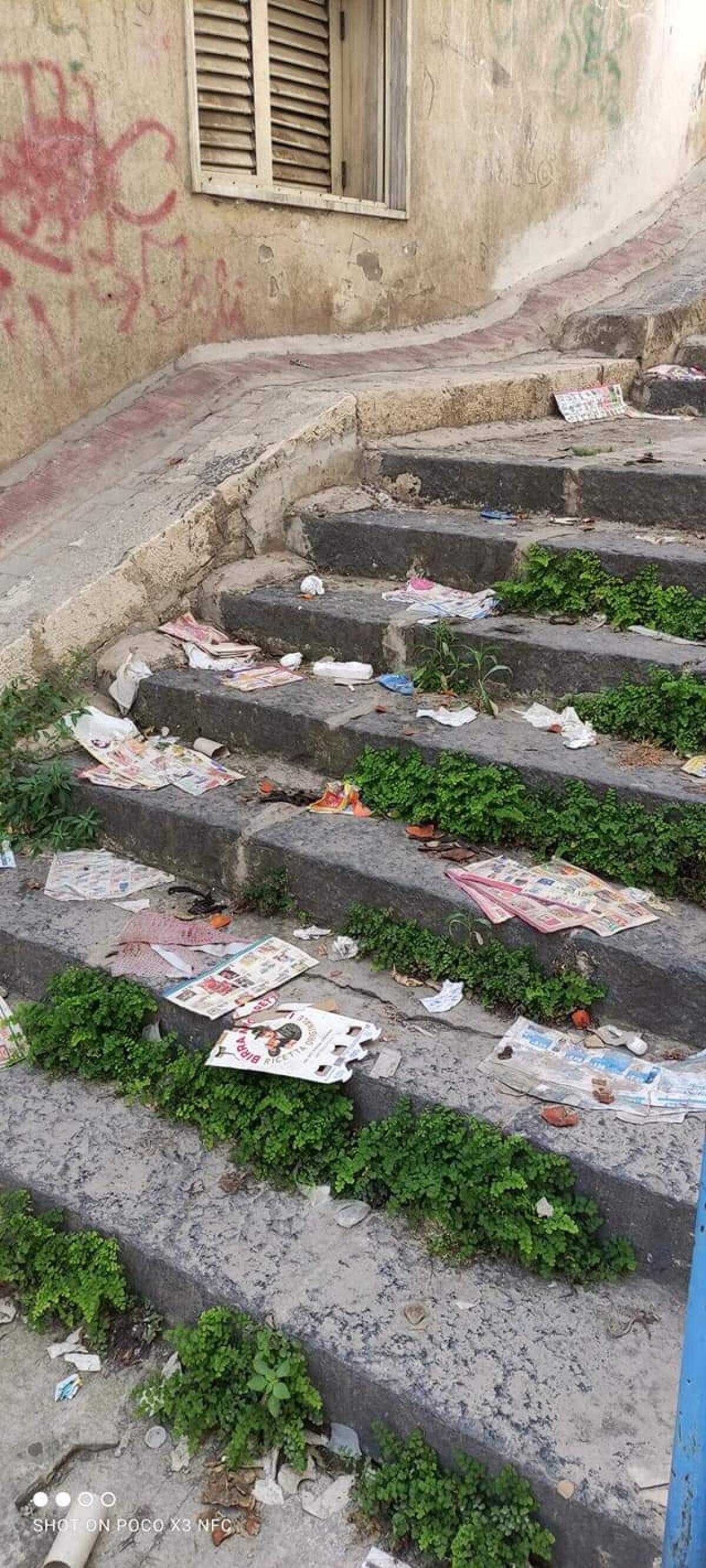 Erbacce e topi dominano in via Giuffrida - 