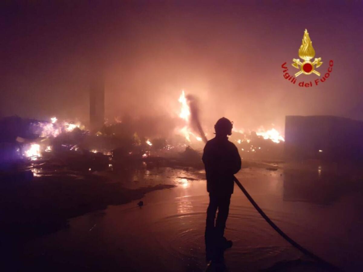 In otto presentano un esposto per salvare i boschi dagli incendi -