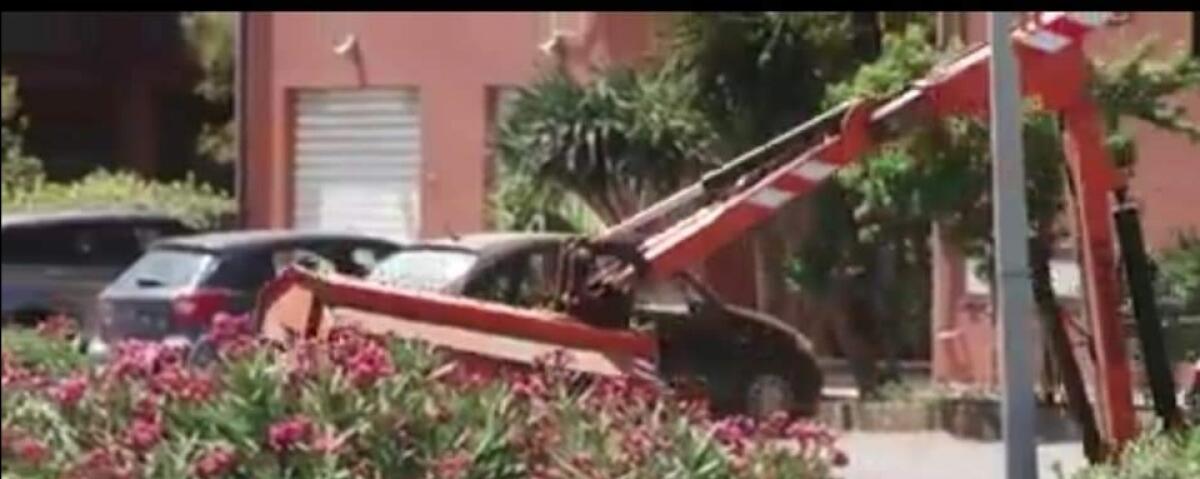 Farruggia: "anziché potare hanno estirpato le piante con la ruspa" - 