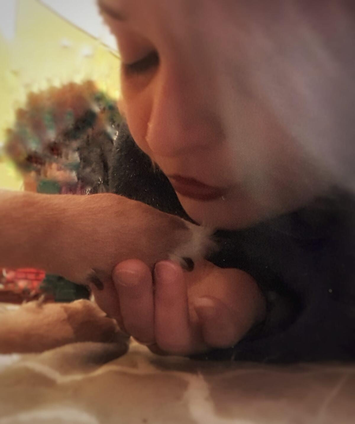 Jessica Platania è morta - 