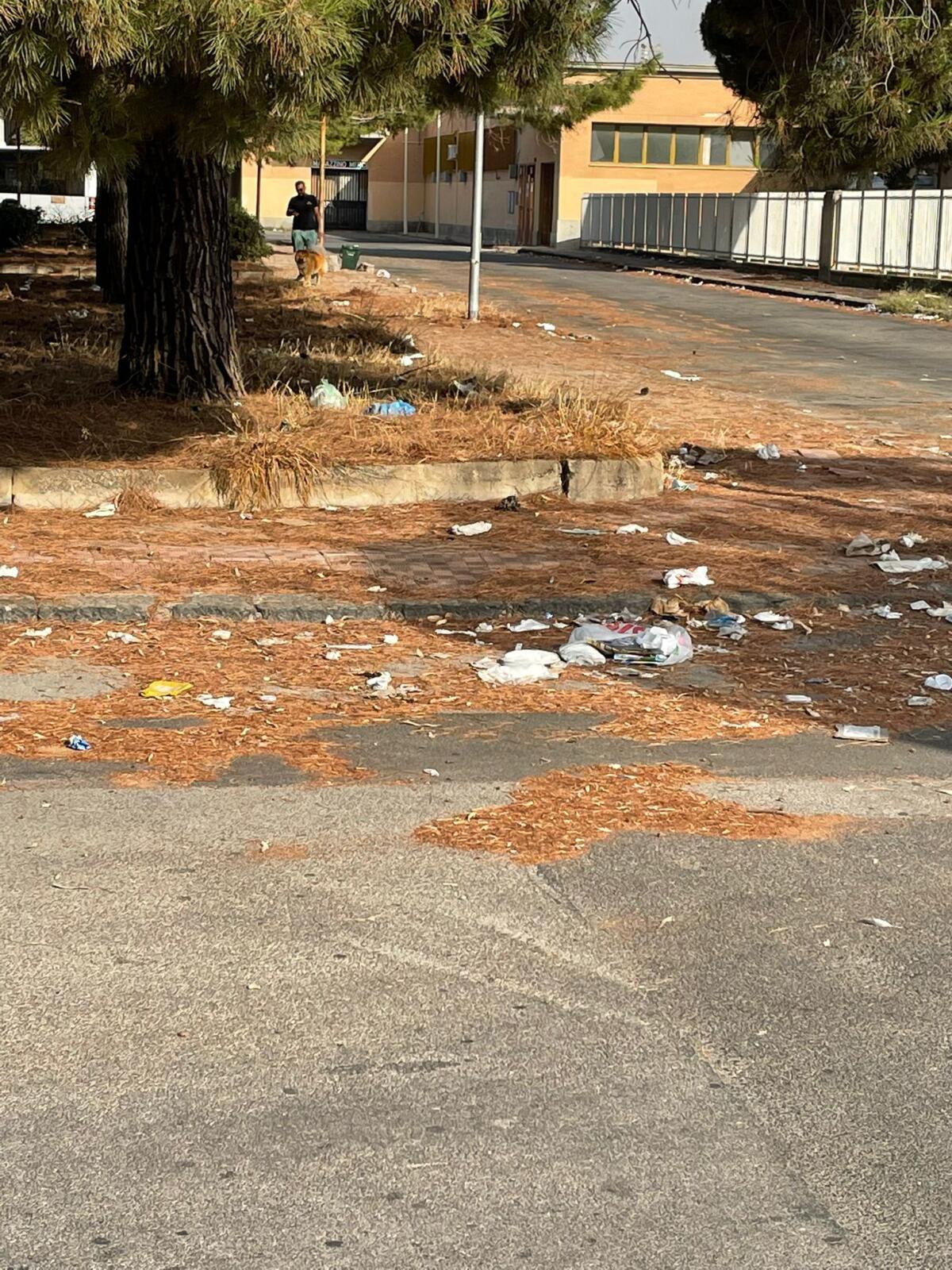 Alabiso (Lega) denuncia il degrado di via Niscemi e della zona della stazione ferroviaria -