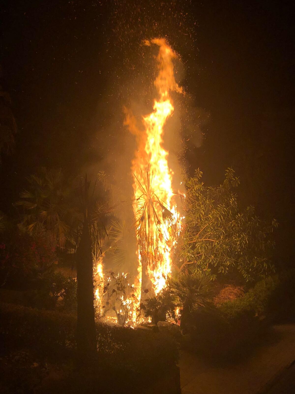 Nel giardino di via Eritrea ancora incendi. Monta la rabbia dei residenti - 