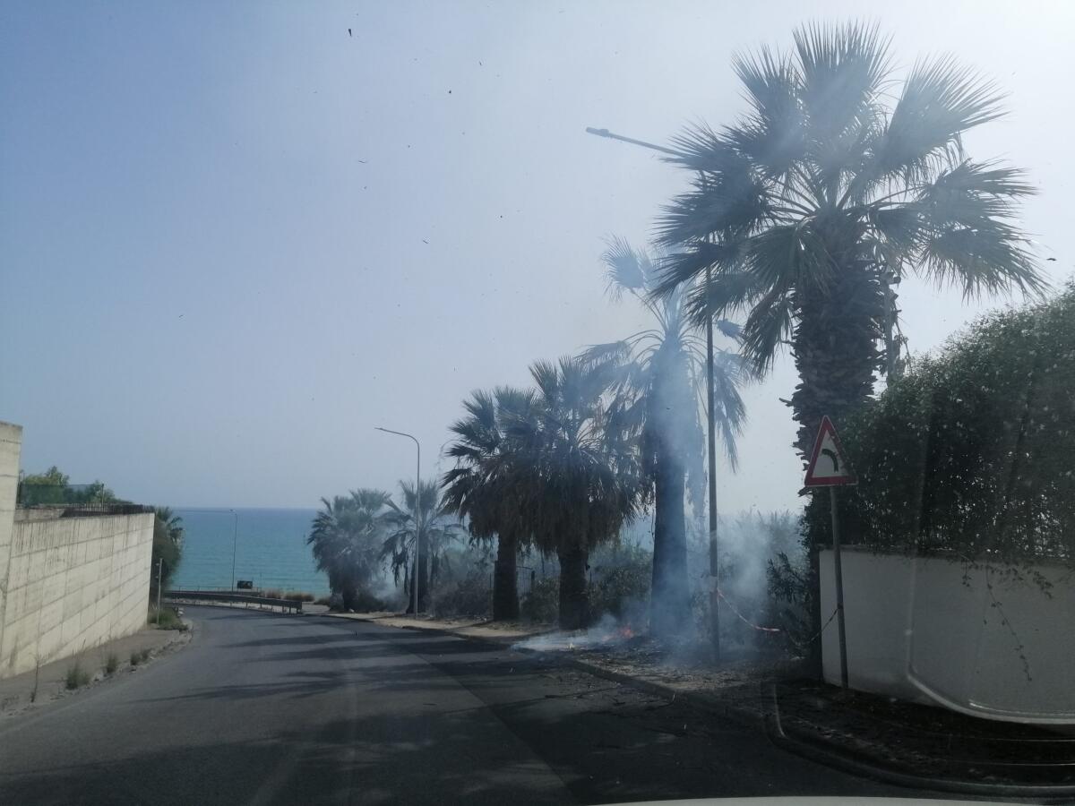 Gela in fiamme. Diversi incendi in più zone della città -