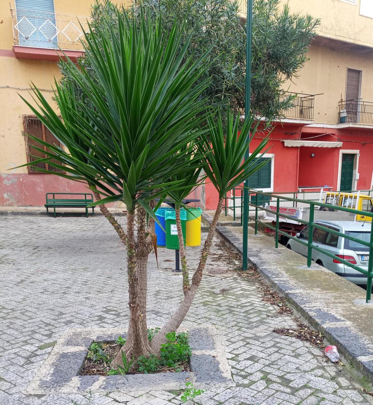Sparite le panche della piazzetta della collaborazione - 