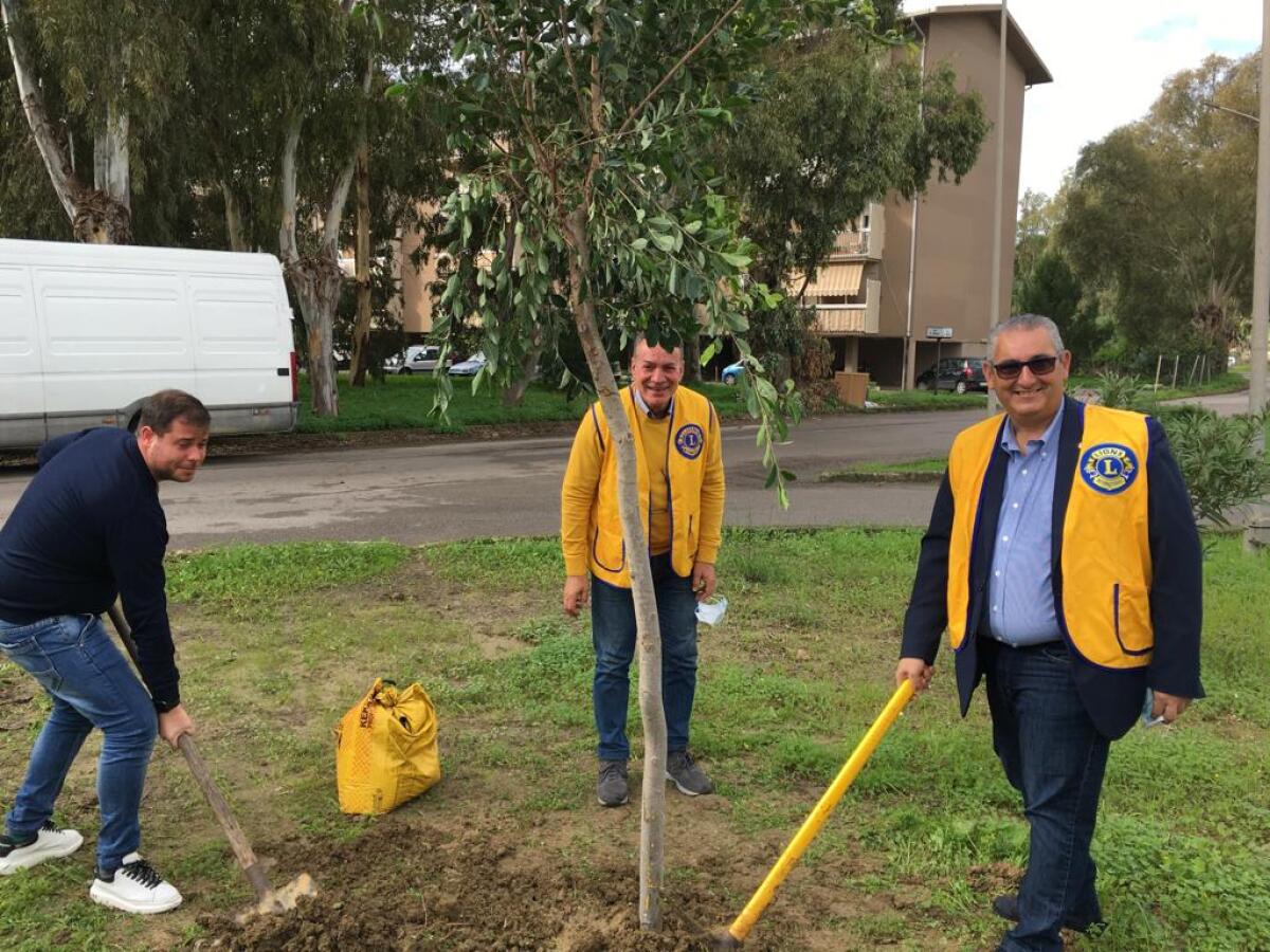 Festa dell'albero firmata Lions - 