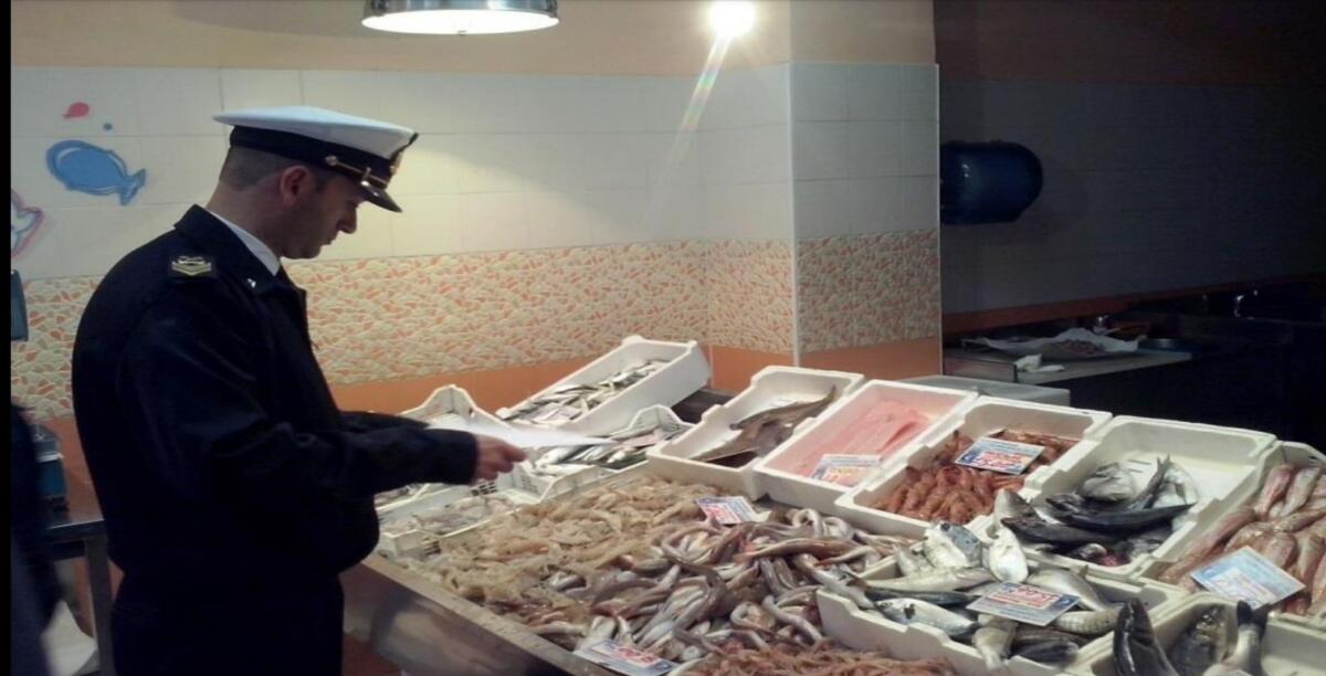 Operazione Calypso fra Gela, Niscemi e Caltanissetta -