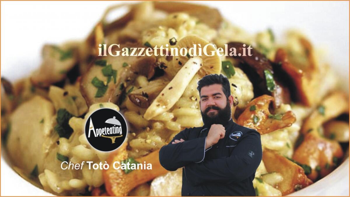 Soprattutto funghi -