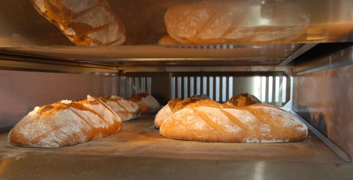 Divieto di panificazione per la domenica - 