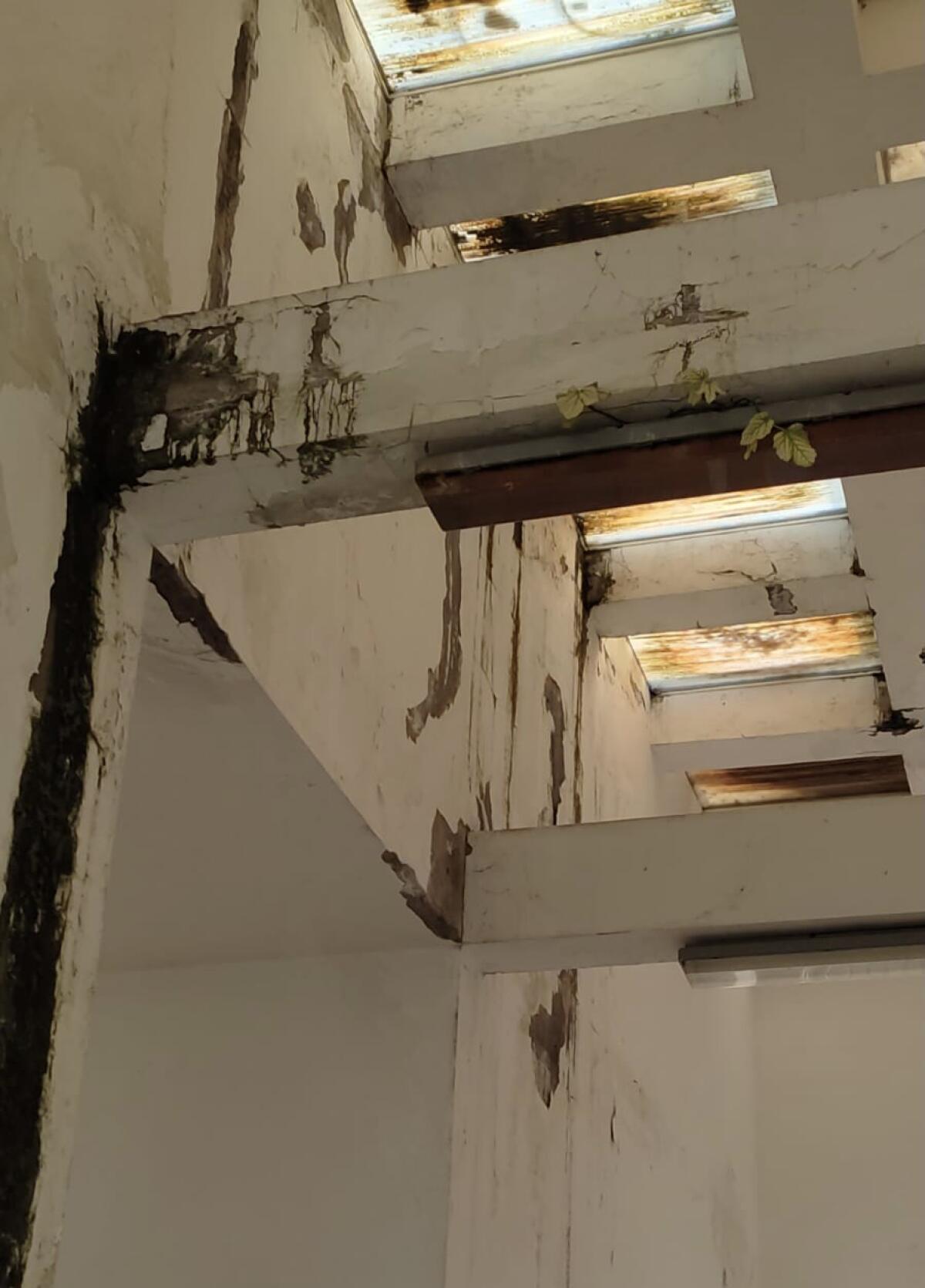 Work in progress, ma il cimitero è in condizioni pietose - 