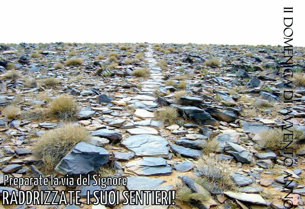 Preparate la via del Signore per la sua nascita in terra - 