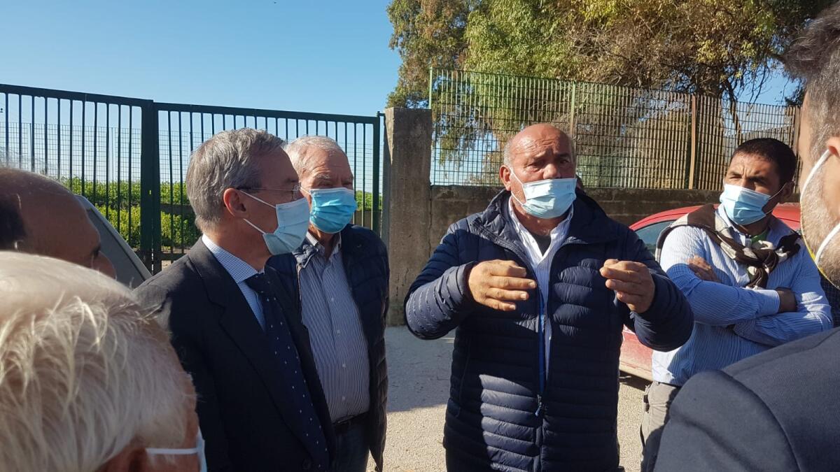 Greco e Sammito rassicurano gli agricoltori sulla richiesta di stato di calamità - 