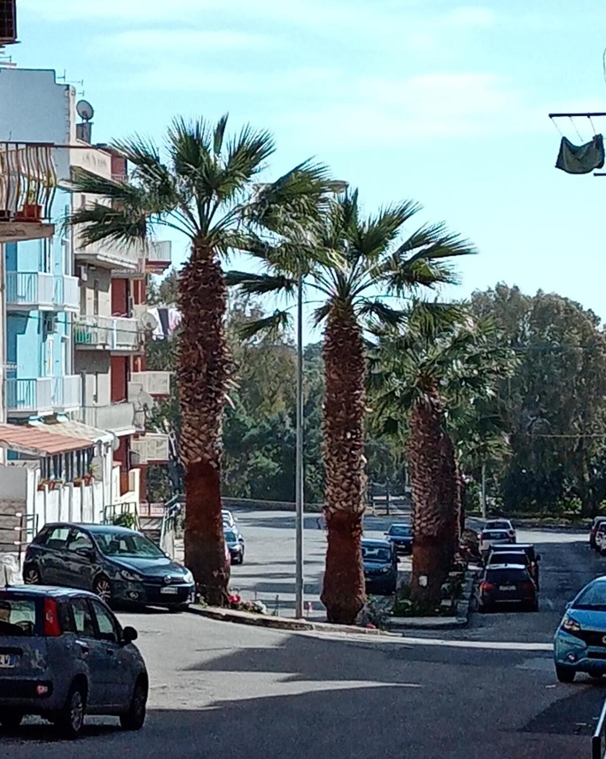 Ospizio marino dopo un anno dalle pulizie 'fai da te', attende il Comune - 