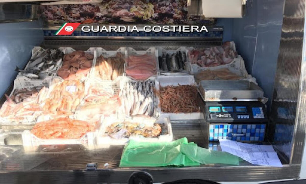 Sequestri e sanzioni ai pescatori di frodo: operazione Phoenix - 