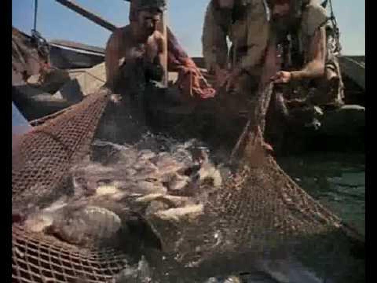 Sulla tua parola getterò le reti. E fu pesca miracolosa - 