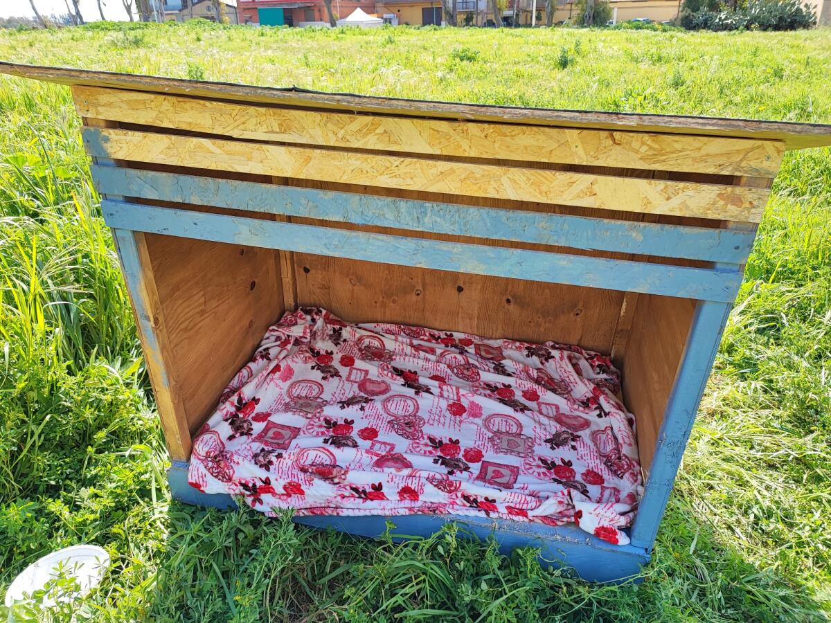 La cuccia è tornata al suo posto -