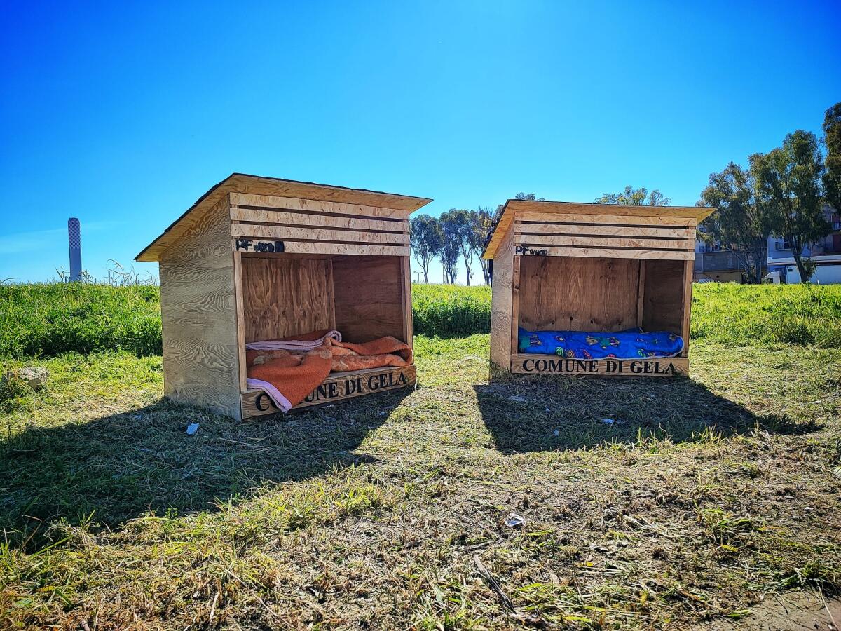 Ritrovata la cuccia rubata, domani tornerà al suo posto - 
