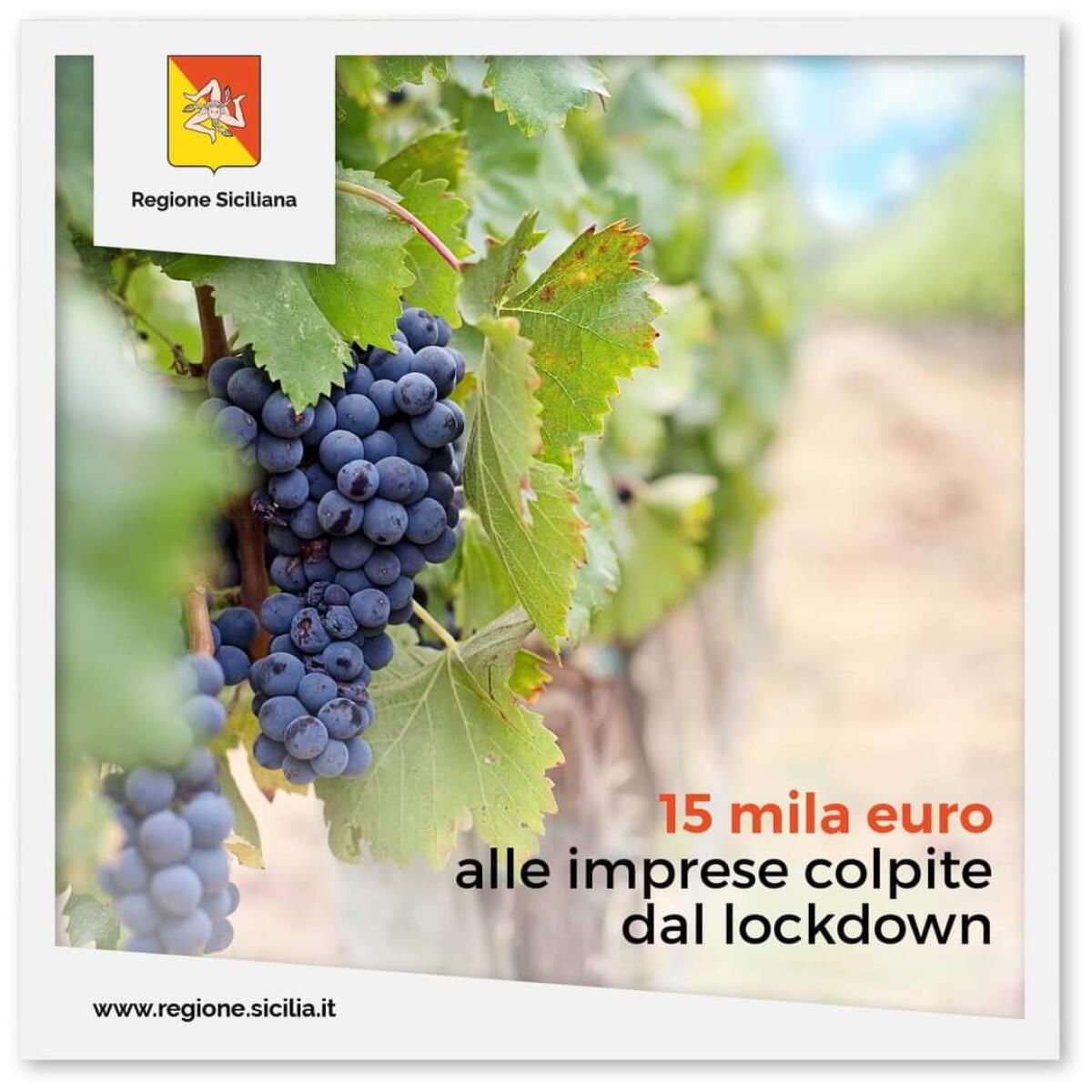 Quindici milioni dalla Regione per 15.000 aziende agricole - 