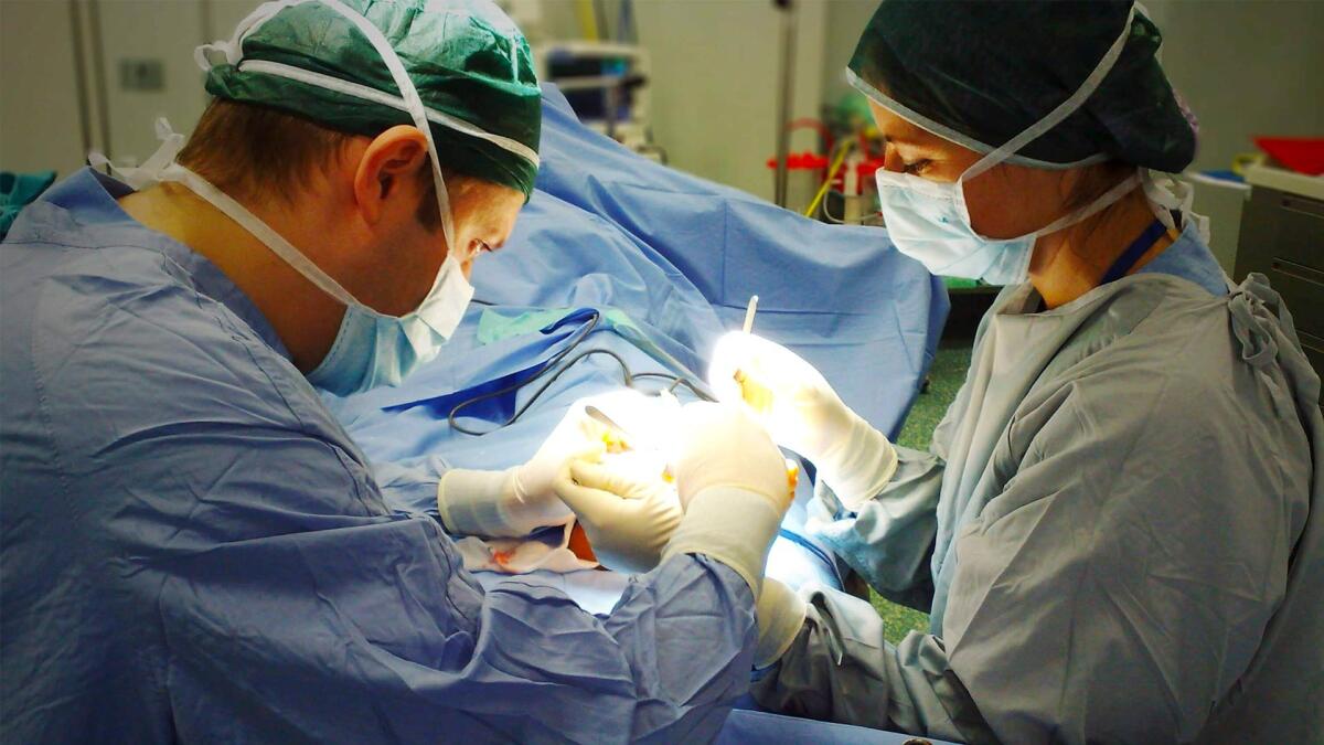 La Società Italiana di Cardiologia Interventistica contro emodinamica senza requisiti - 
