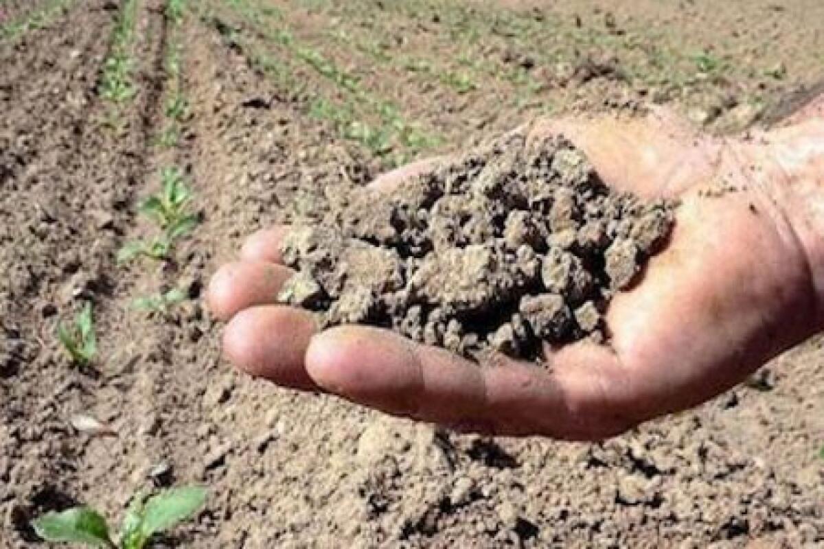 Campagne a secco: è allarme agricoltura -