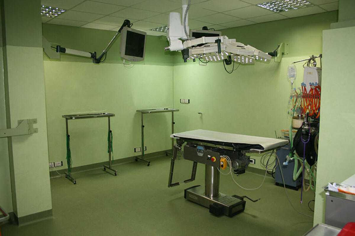 In Sicilia nasce la prima clinica veterinaria pubblica - 