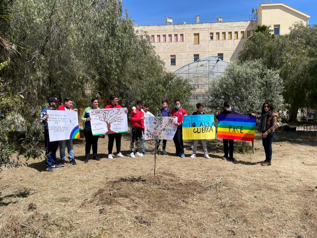 "No alla guerra", albero d'ulivo piantato a scuola dagli alunni del "Morselli" -