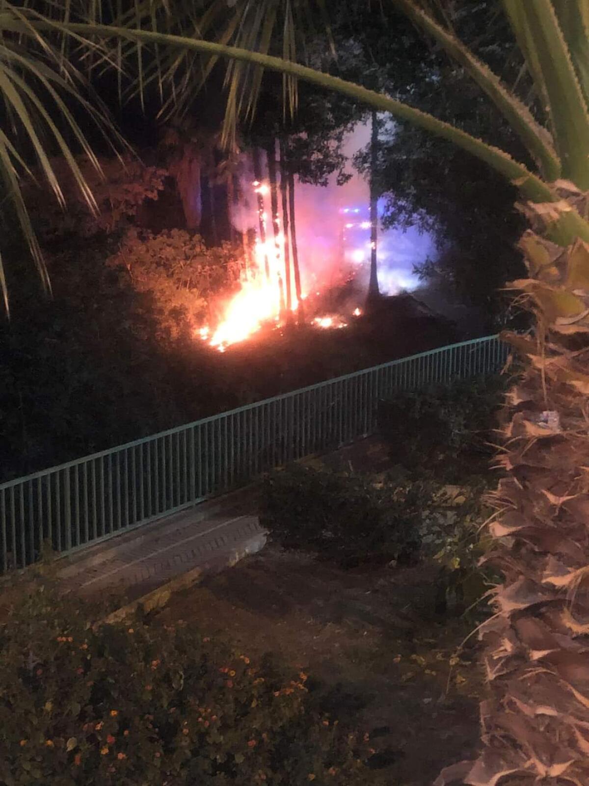 Fiamme attorno alla villa comunale -