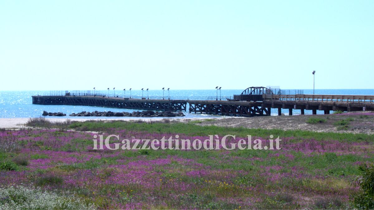 Atto di indirizzo della Giunta sull'ex pontile sbarcatoio - 