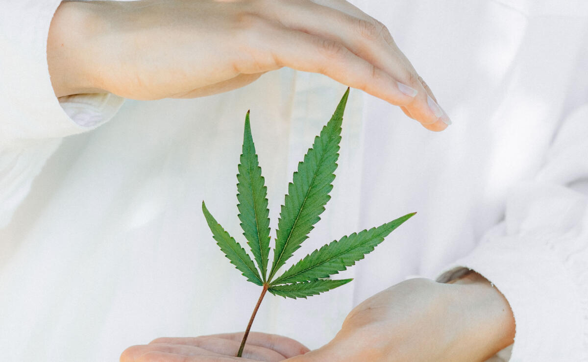 Cannabis terapeutica, al CEFPAS iscrizioni aperte al corso online per medici su corretto uso e prescrizione - 