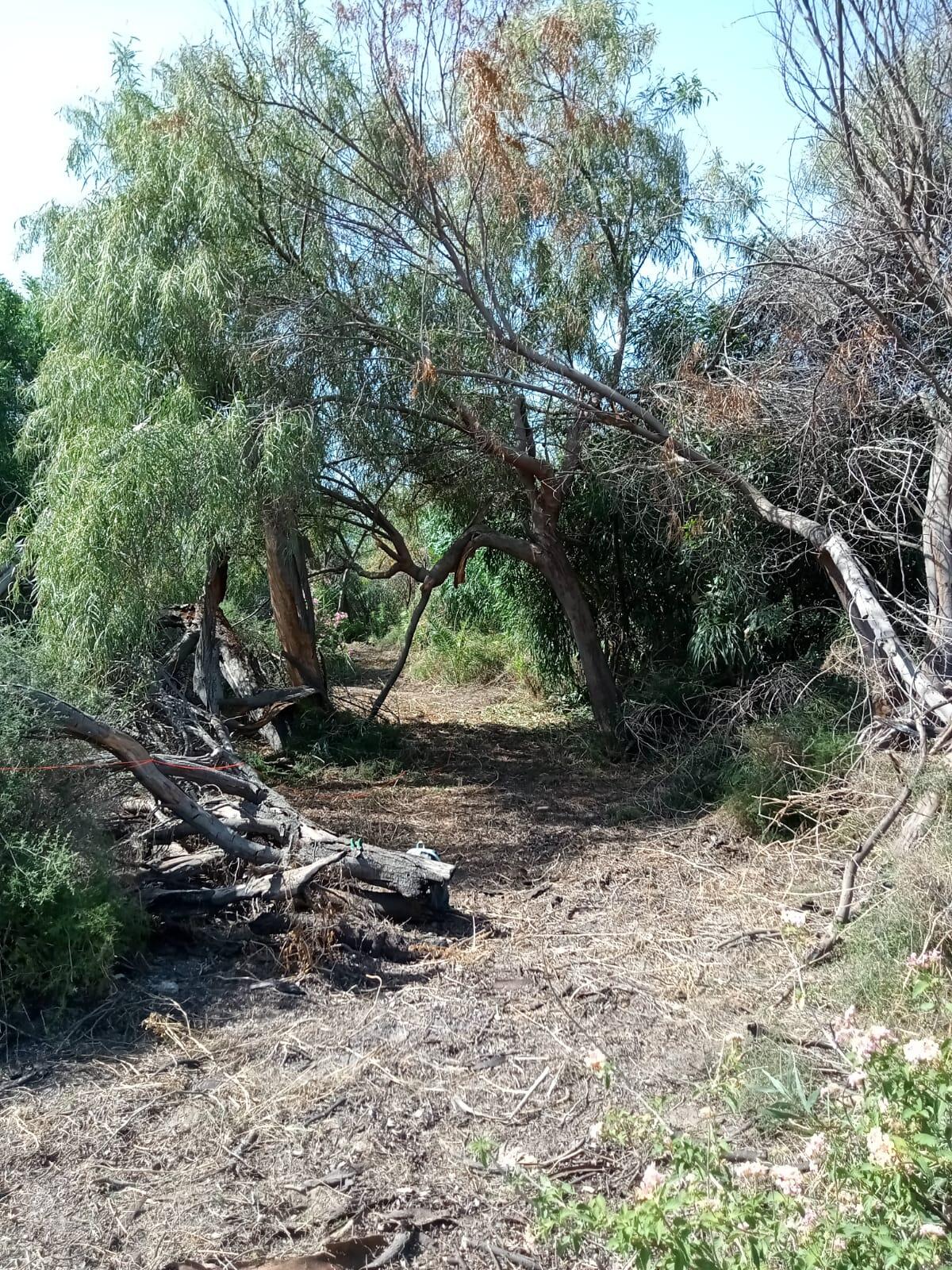 Gela che cambia proporrà il nome dell'area che ha curato: 'I giardini di Demetra e Kore' - 