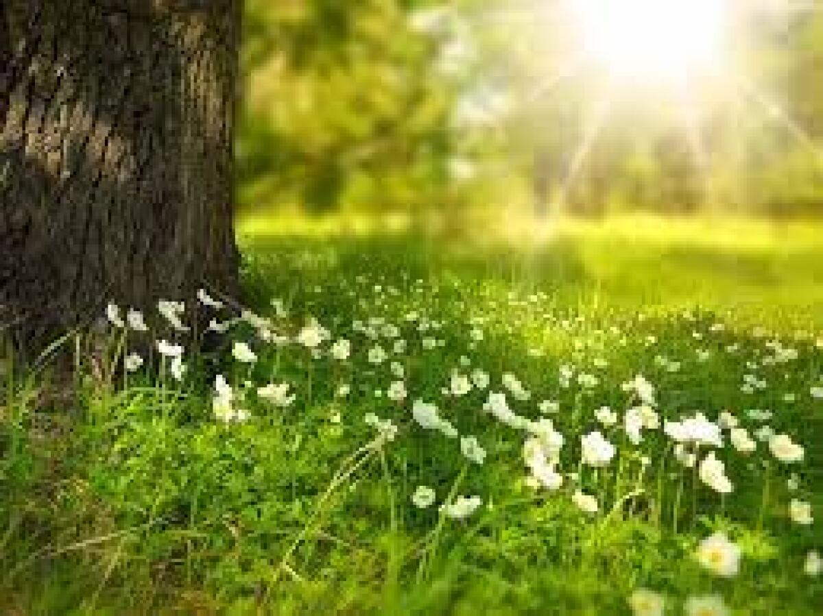 Convegno sul patrimonio naturale - 