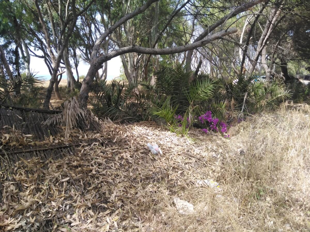 La denuncia dei Giovani Dem: la città è un pantano, servono interventi urgenti - 