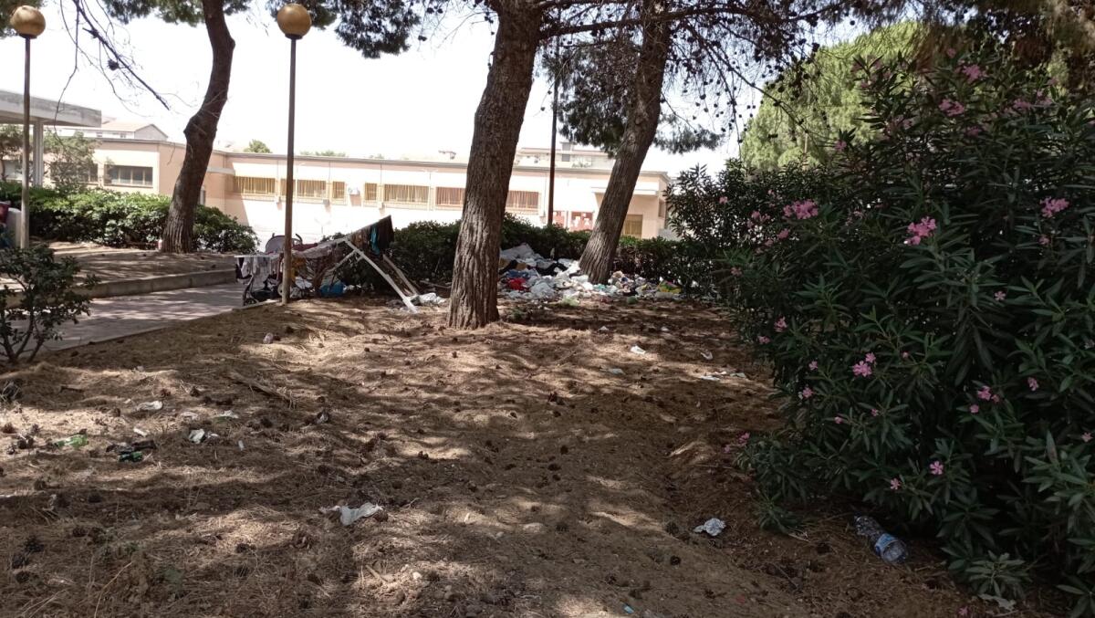 Il letamaio nei pressi della stazione ferroviaria - 