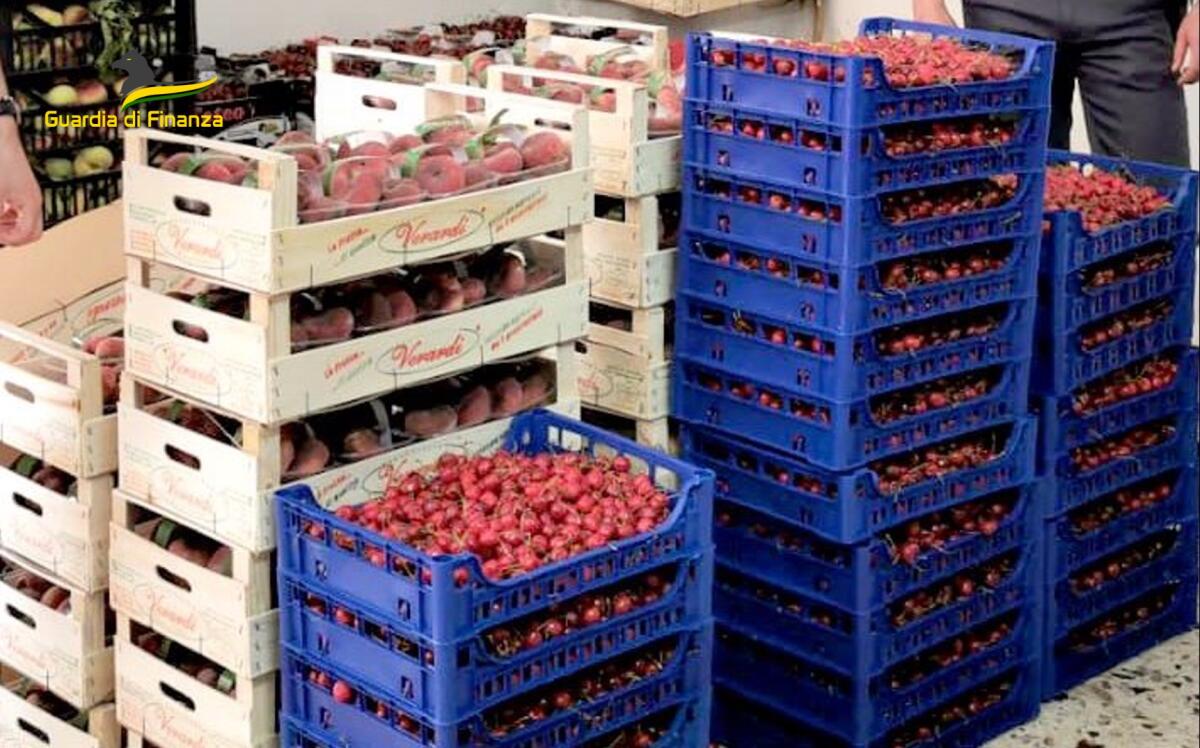 GdF Caltanissetta: sequestrati oltre 800 chili di prodotti ortofrutticoli commercializzati abusivamente -