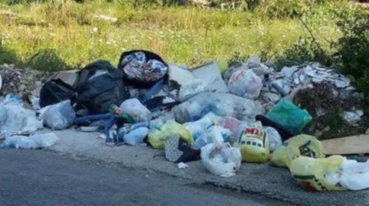 L' appello ad educare i cittadini a non sporcare -