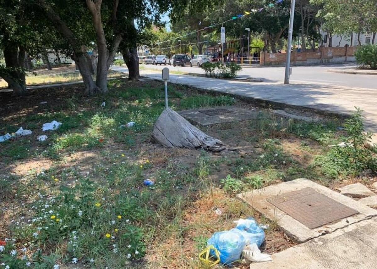 Giudice: "un Comune si definisce vivibile se pulito..." - 